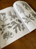 Flowers and Plants : An Image Archive for Artists and Designers