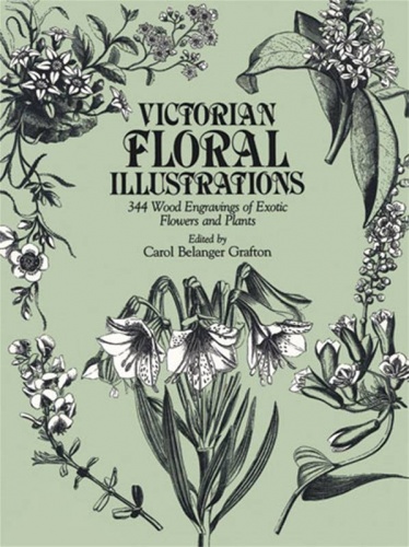 Victorian Floral Illustrations