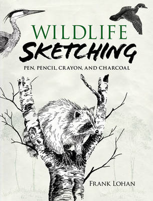 Wildlife Sketching