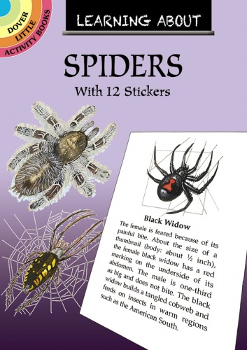 Learning About Spiders
