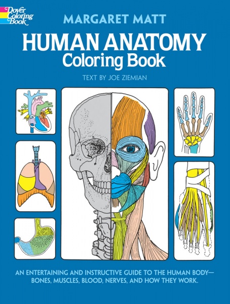 Human Anatomy Colouring Book