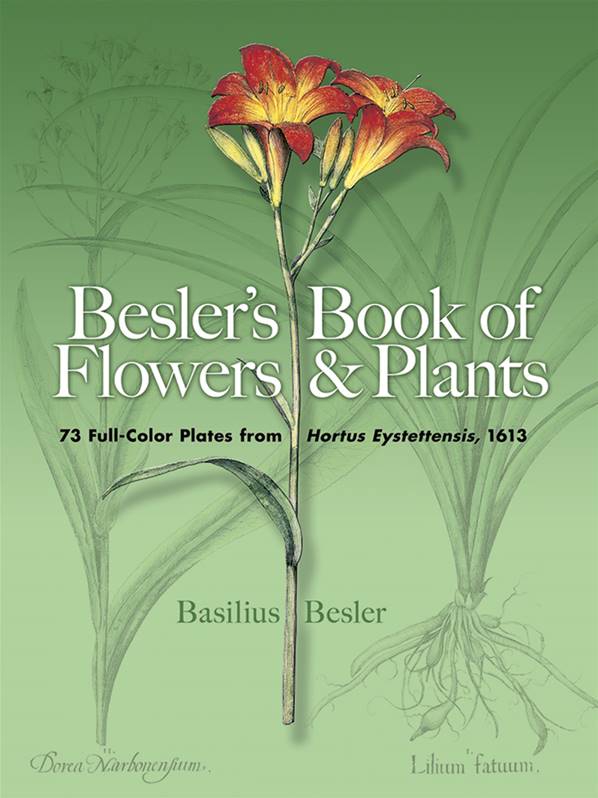 Besler's Book of Flowers and Plants