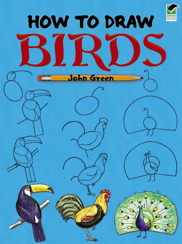 How to Draw Birds Dover Books