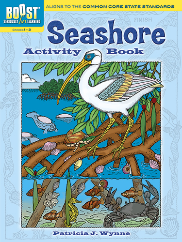 BOOST Seashore Activity Book