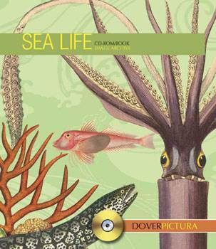 Sea Life - Pictura