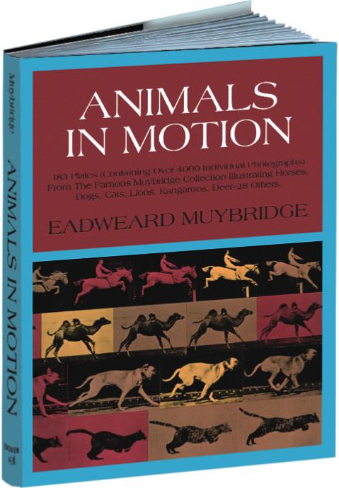 Animals in Motion
