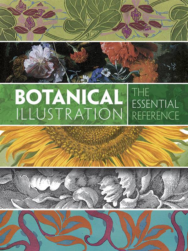 Botanical Illustration : The Essential Reference
