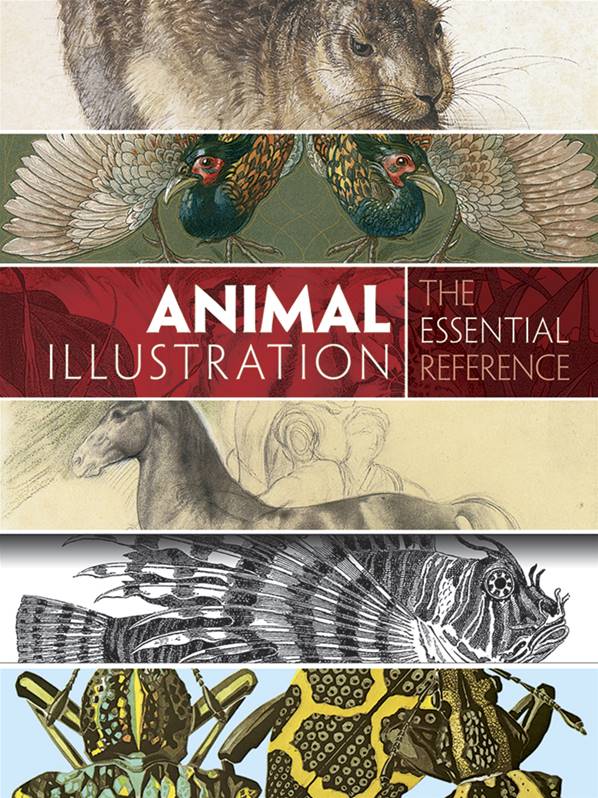 Animal Illustration : The Essential Reference - Dover Books Animal Illustration : The Essential Reference - Dover Books