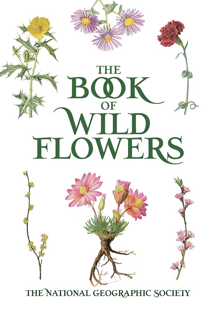 Book of Wild Flowers