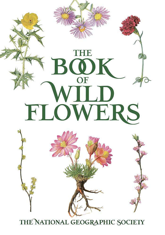 Book of Wild Flowers Dover Books