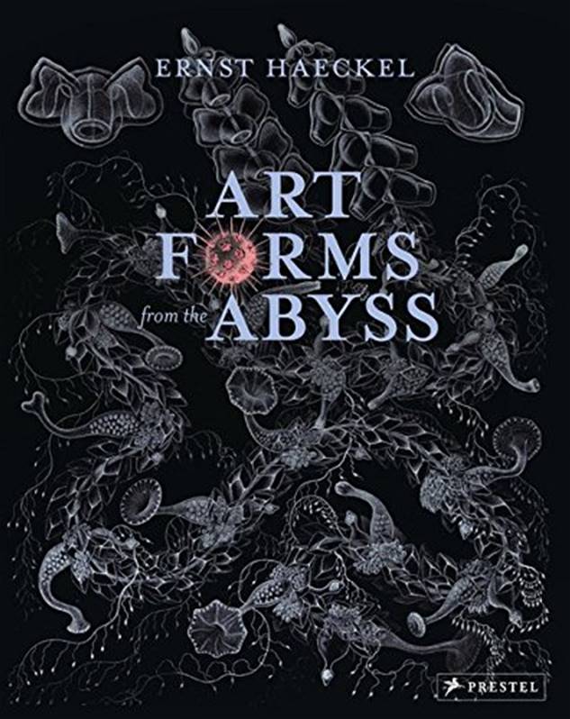 Art Forms From The Abyss Dover Books Art Forms From The Abyss Dover Books