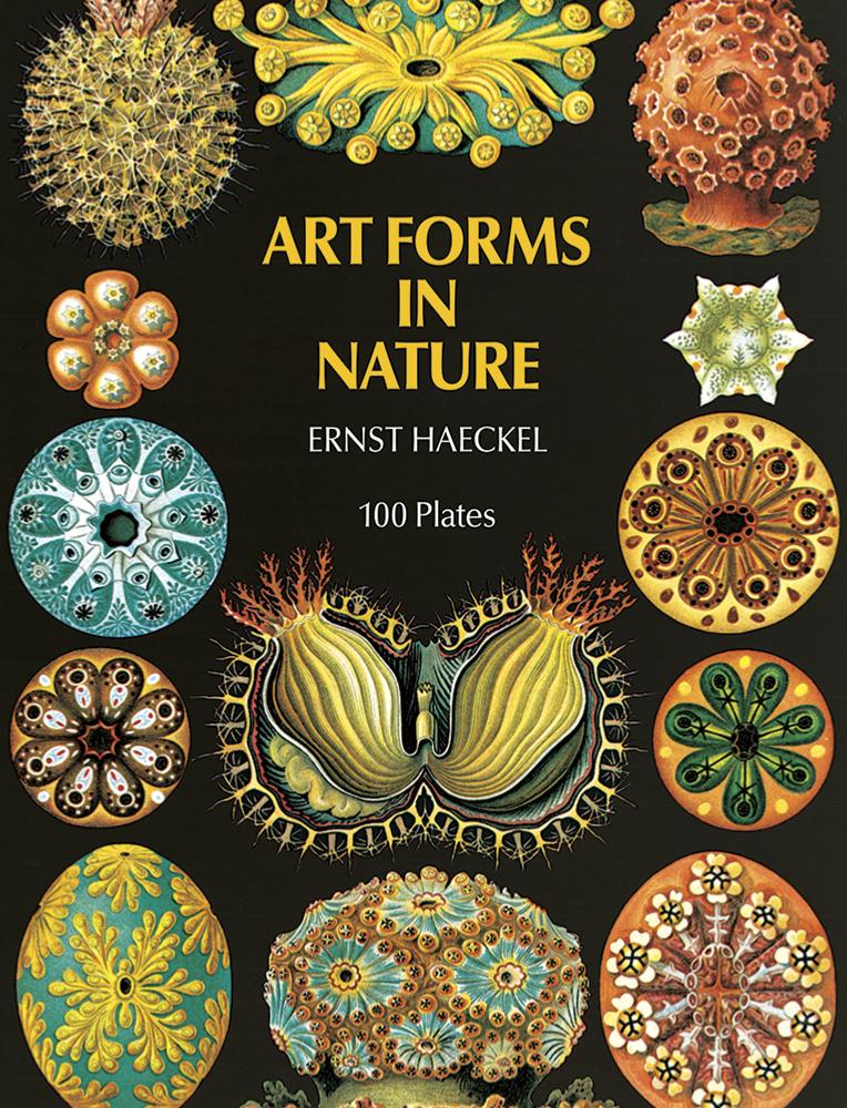 Art Forms in Nature Dover Books