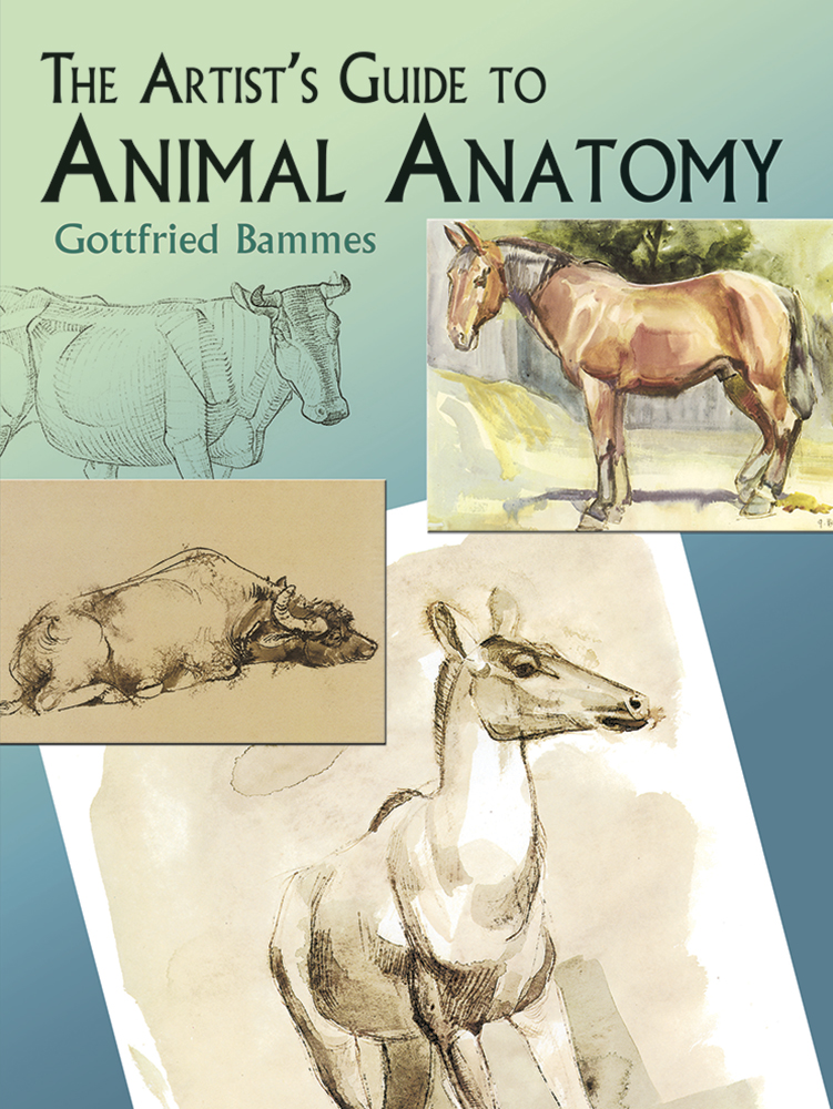 The Artist's Guide to Animal Anatomy - Dover Books
